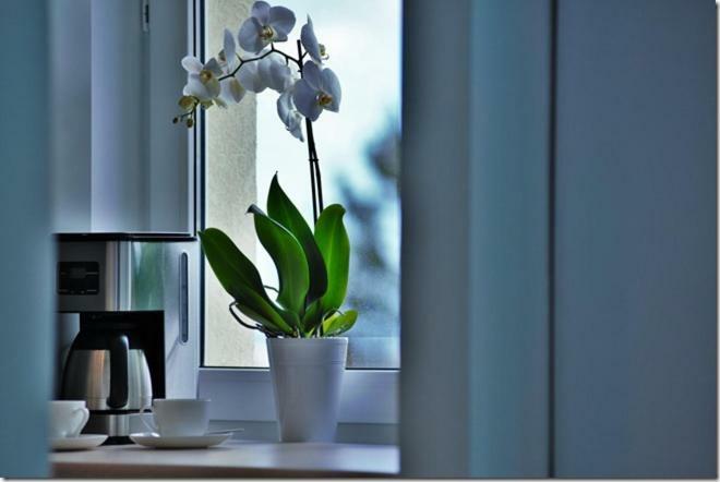 Cozy Base Apartman Gdańsk Kültér fotó